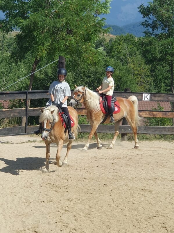 Loc în sesiunea de tabără 24-29 august 2025